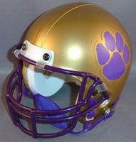 Bradwell Institute Tigers HS 2006 (GA)